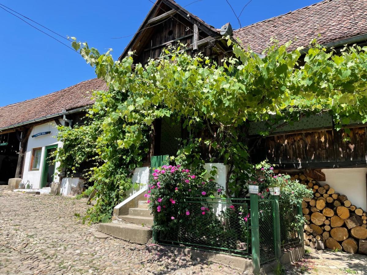 Saschiz 130/Lodging And Glamping Luaran gambar