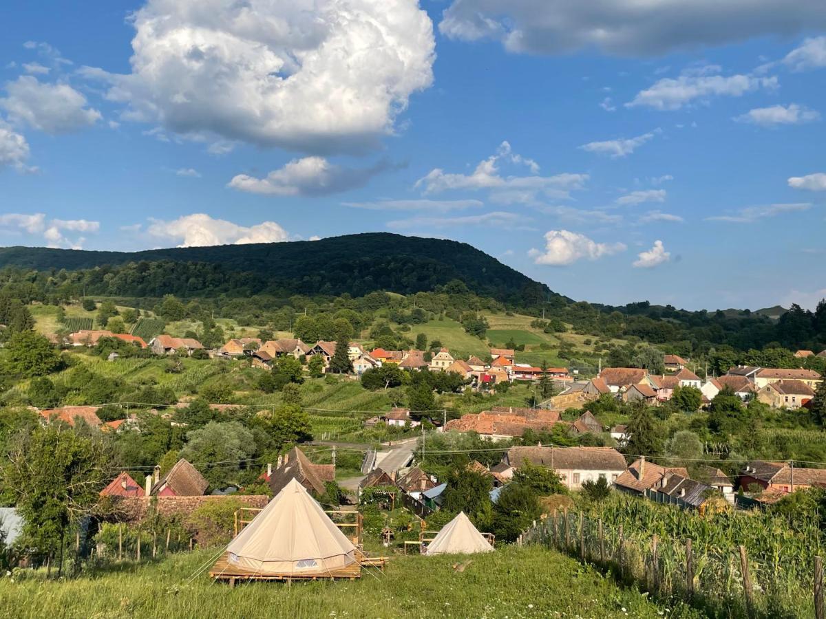 Saschiz 130/Lodging And Glamping Luaran gambar