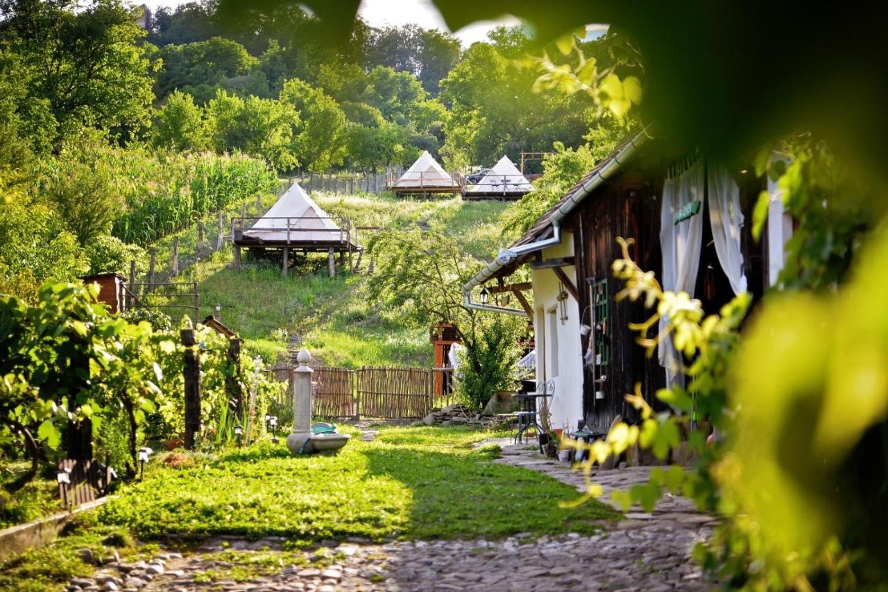 Saschiz 130/Lodging And Glamping Luaran gambar
